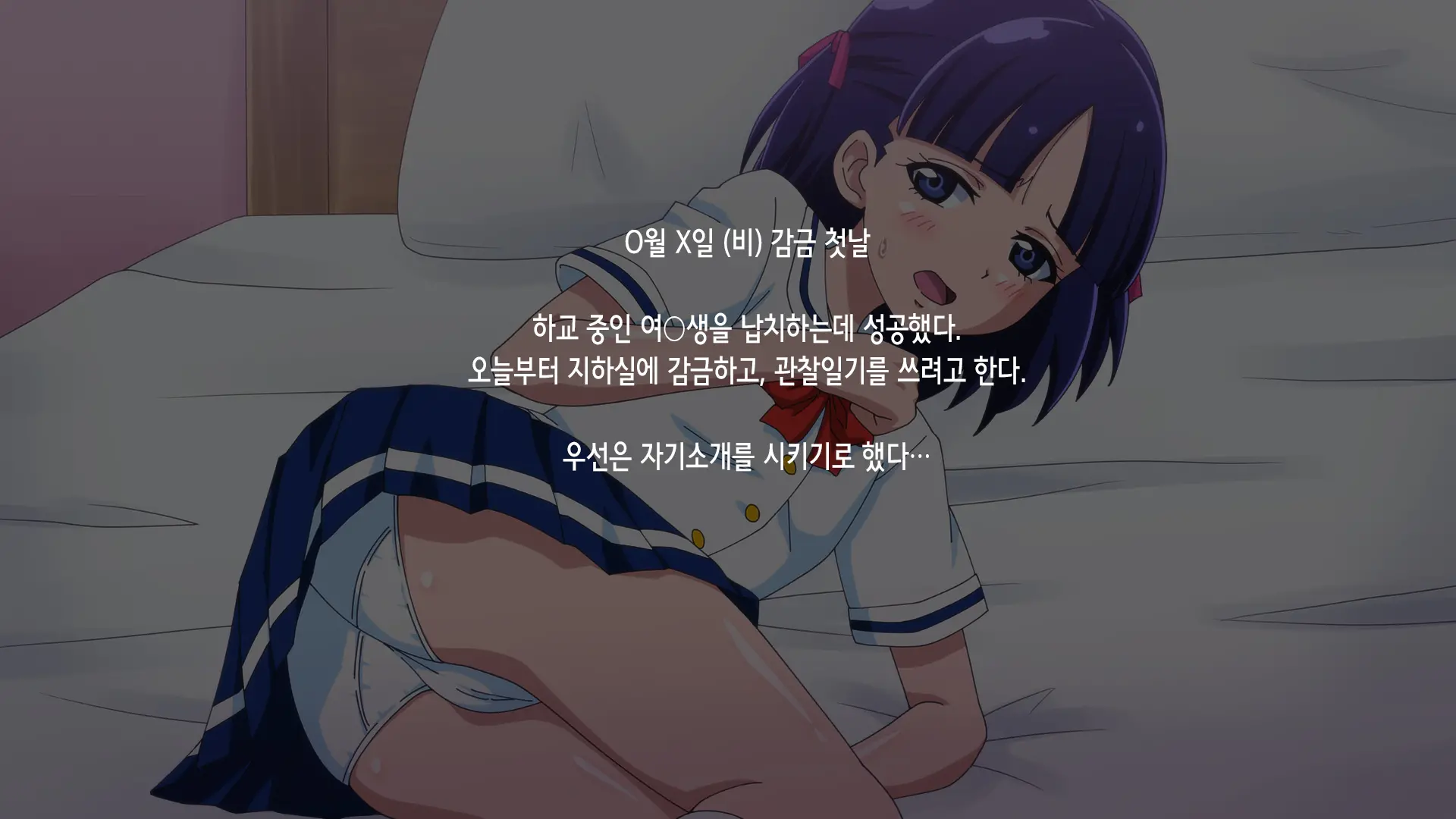 Kansatsu Nikki | 간찰일기